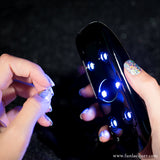 Summer 2025 LED Bundle