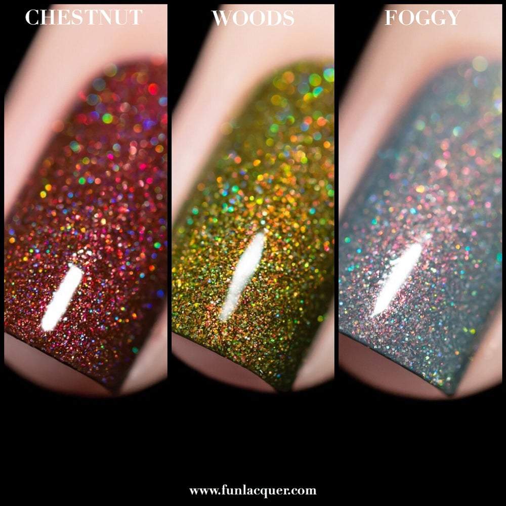 Fall 2018 Collection Holographic Nail Polish – F.U.N LACQUER