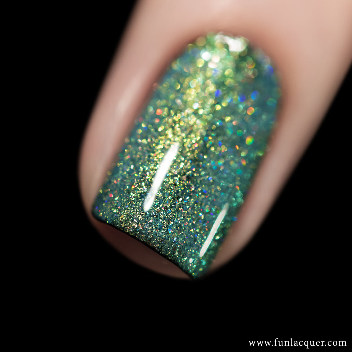 フォーチュンキャット　ラメカラー　極レア フォーチュンキャット ラメカラー 極レア フォーチュンキャット