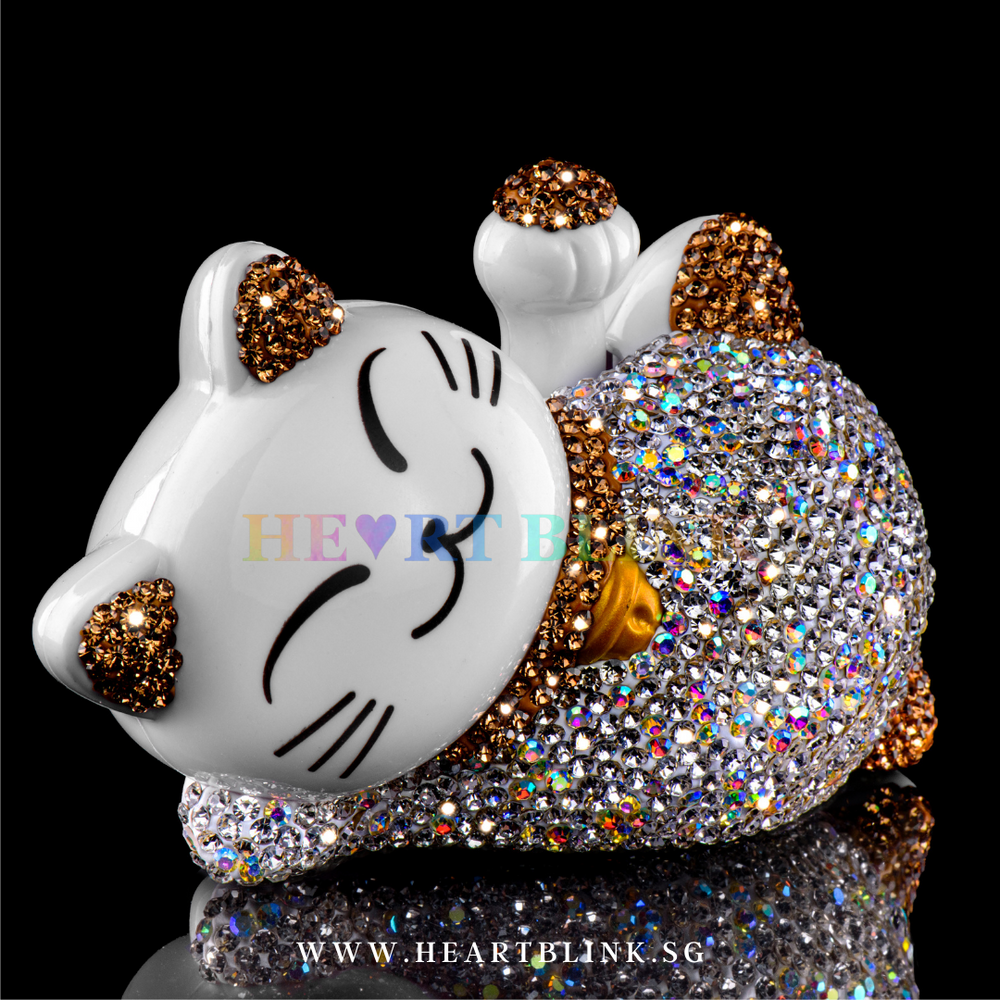 nahoron✨ solarcat3_1000x.png?v=1672595907